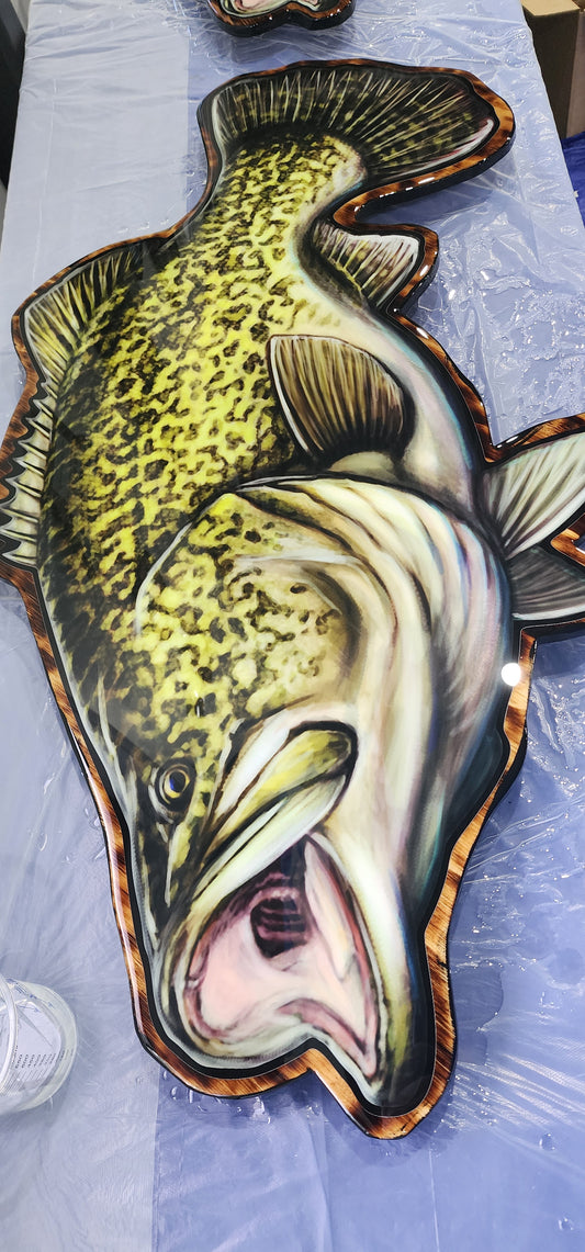 Murray Cod Print mount 100cm in length