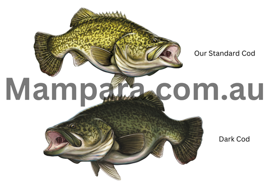 Murray Cod (Dark Cod) Print mount 100cm