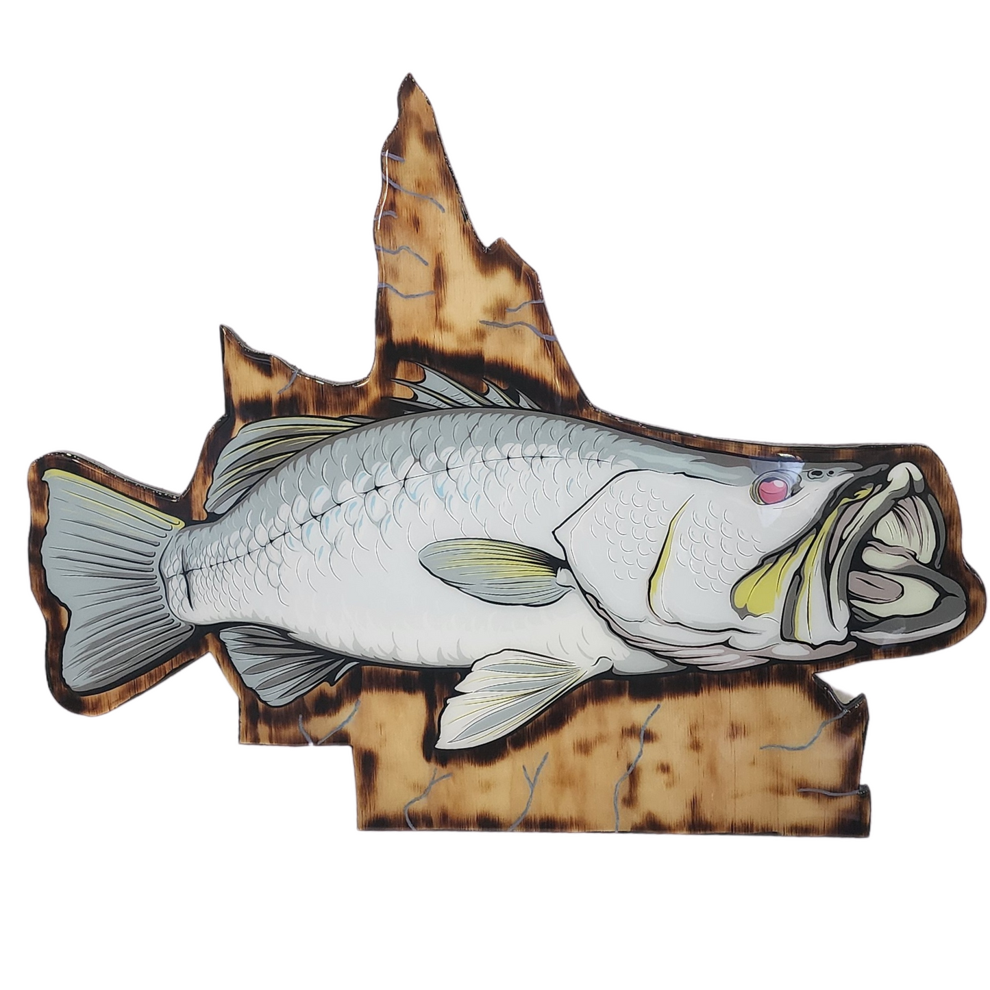 Barra on QLD Print mount 70cm in length Natural Wood (Right Facing)
