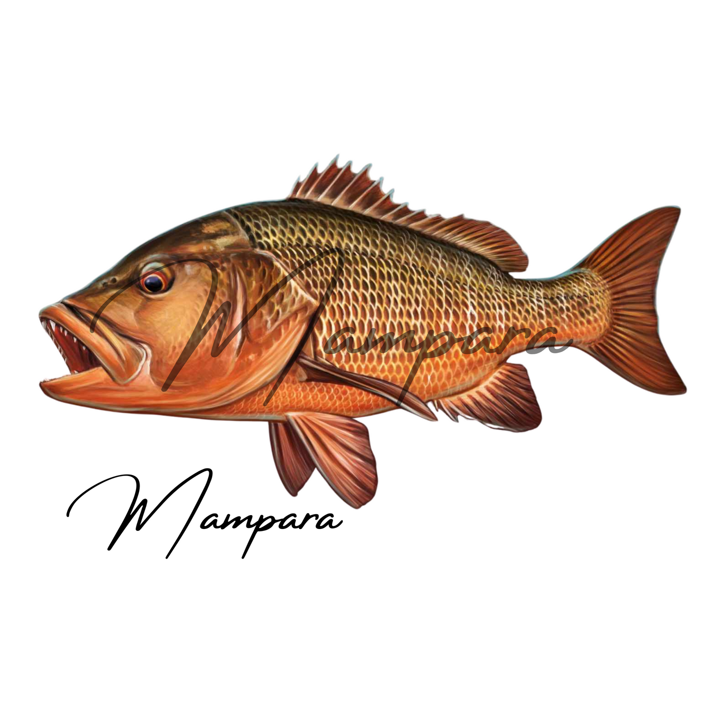 Mangrove Jack mount Large (Left Facing)