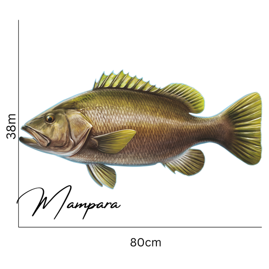 Papuan Black Bass print mount 80cm