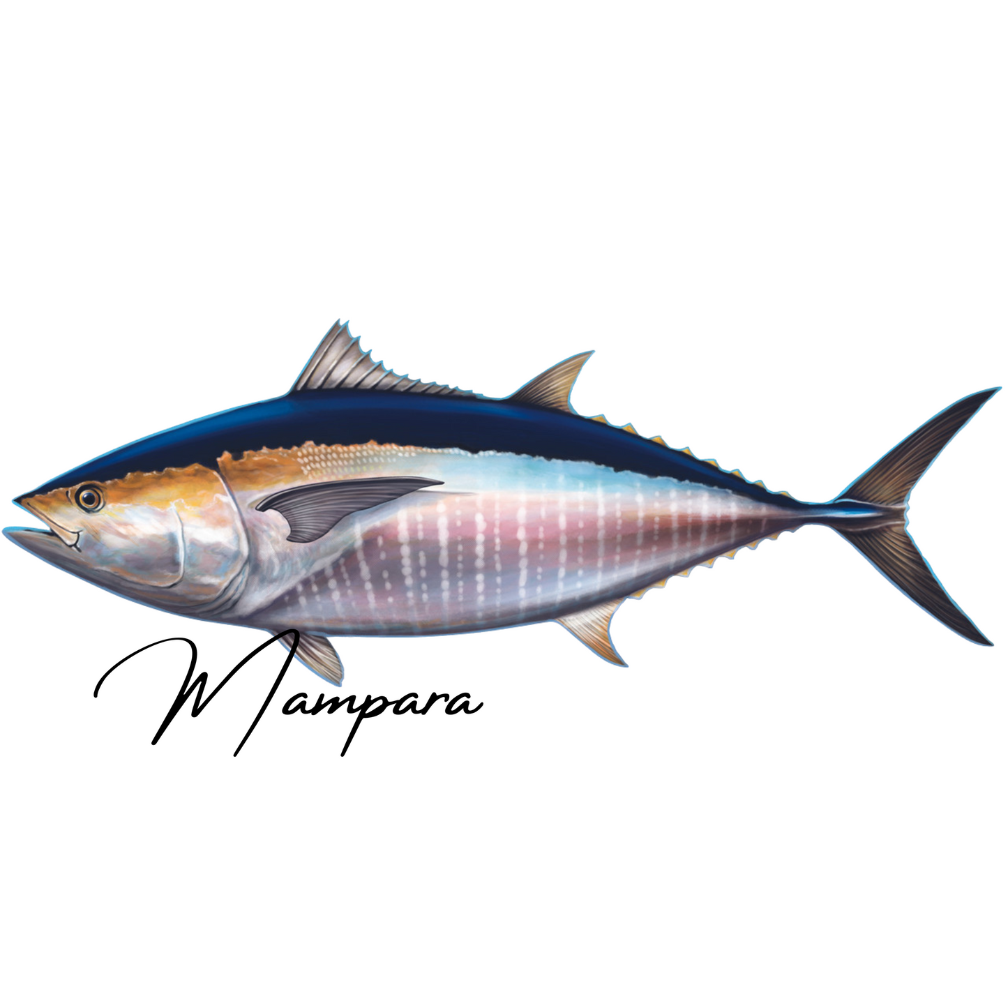 Southern Bluefin Tuna Print mount 100cm