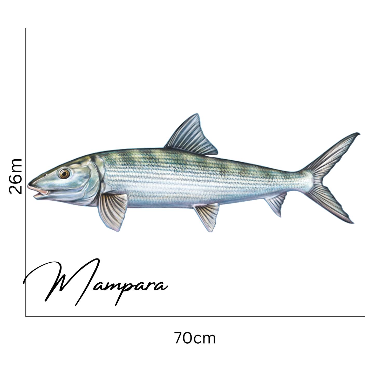 Bonefish Print Mount 70cm