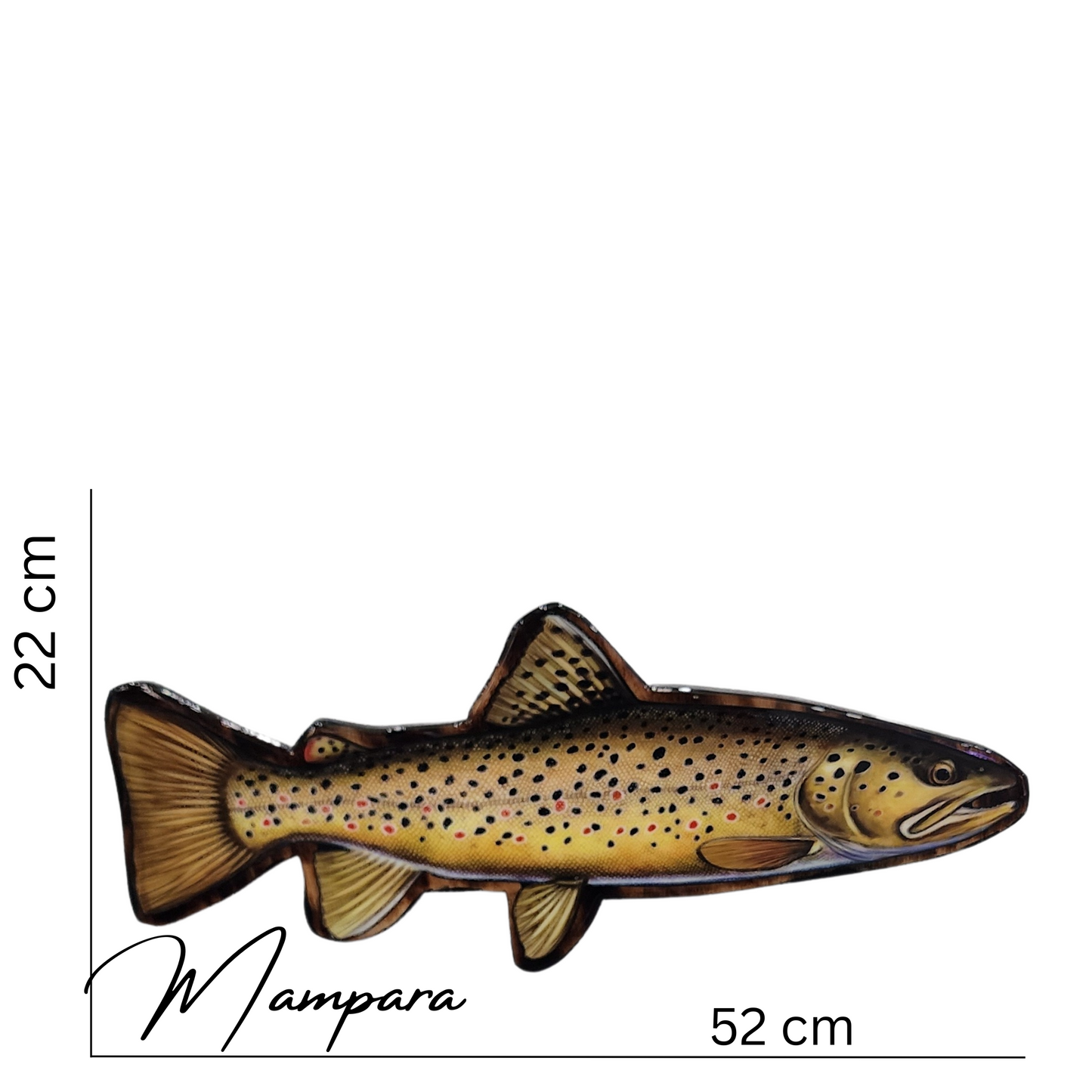 Brown Trout Print mount small