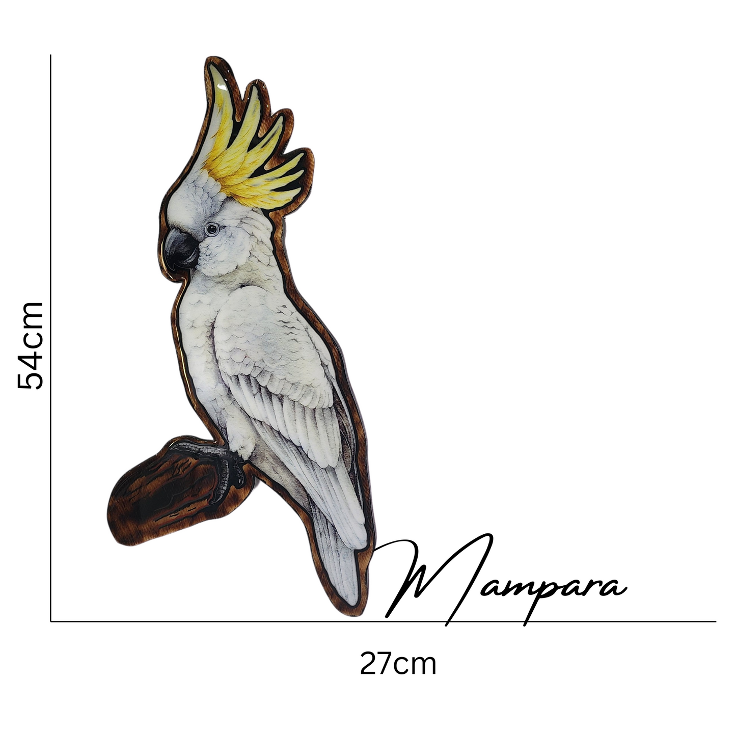 Sulphur Crested Cockatoo