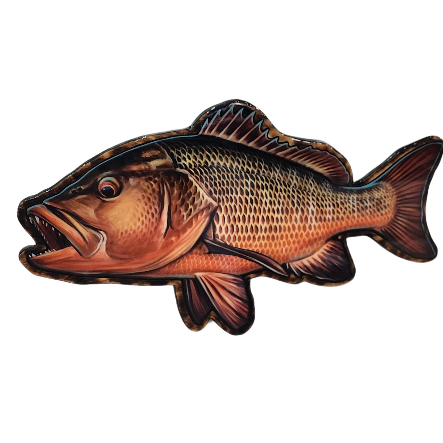 Mangrove Jack mount Large (Left Facing)