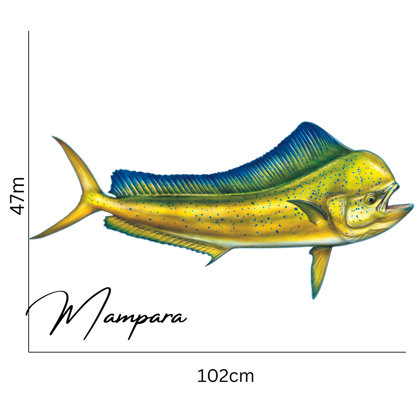 Mahi Mahi Bull Print mount 100cm