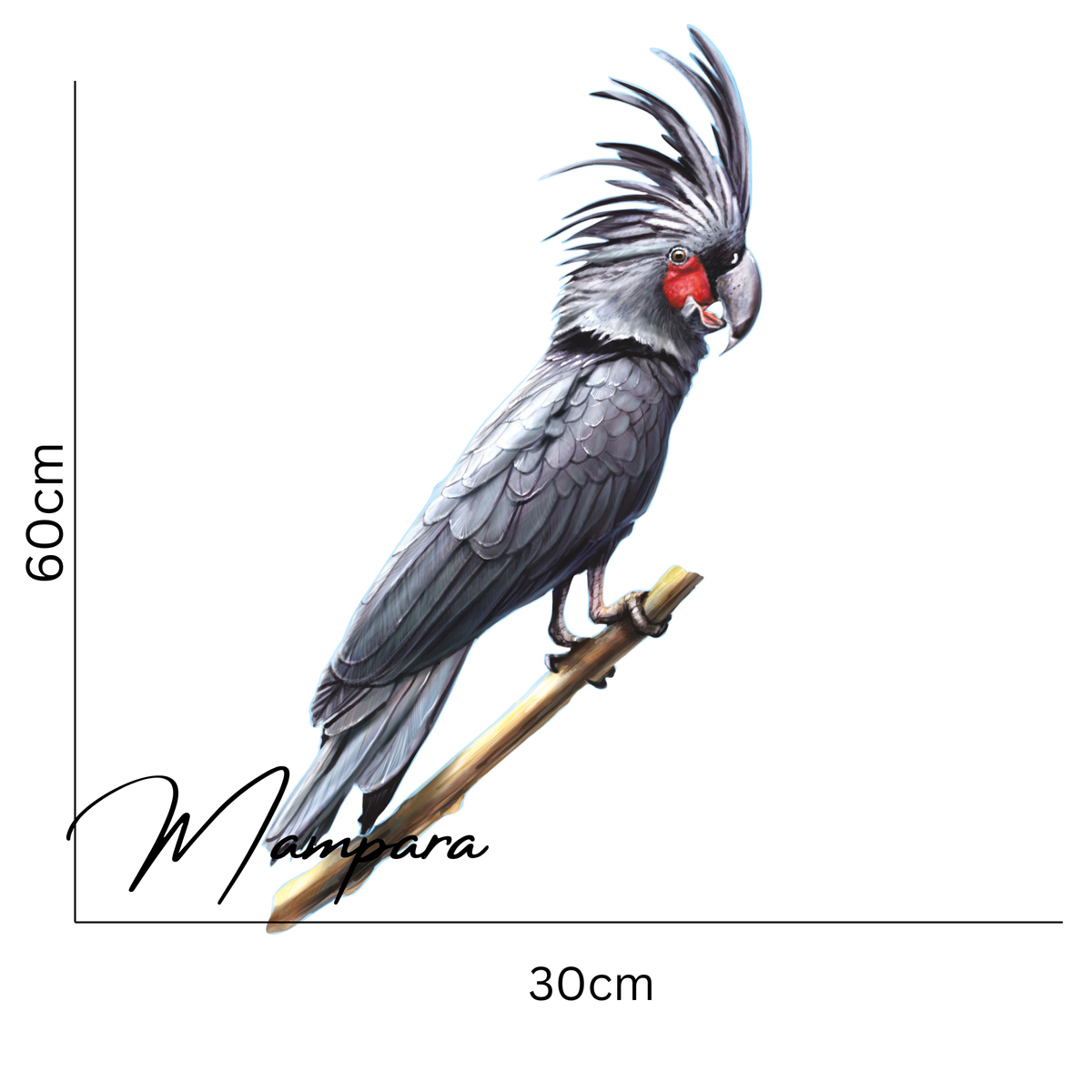 Palm Cockatoo print mount 60cm