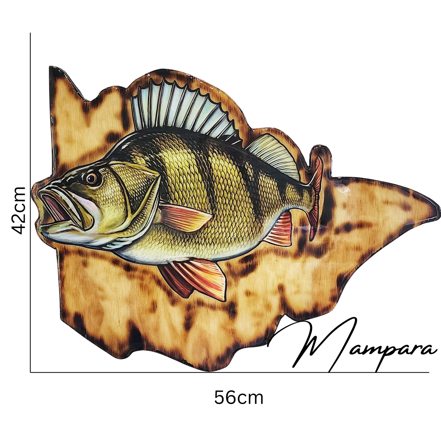 Redfin Perch on Victoria BG Print mount
