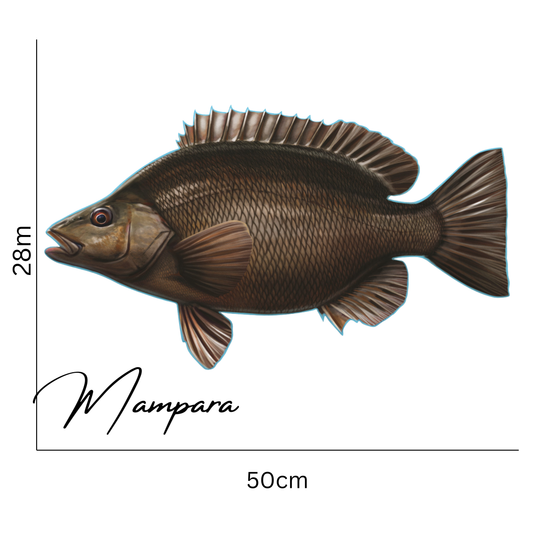 Sooty Grunter Print mount 50cm