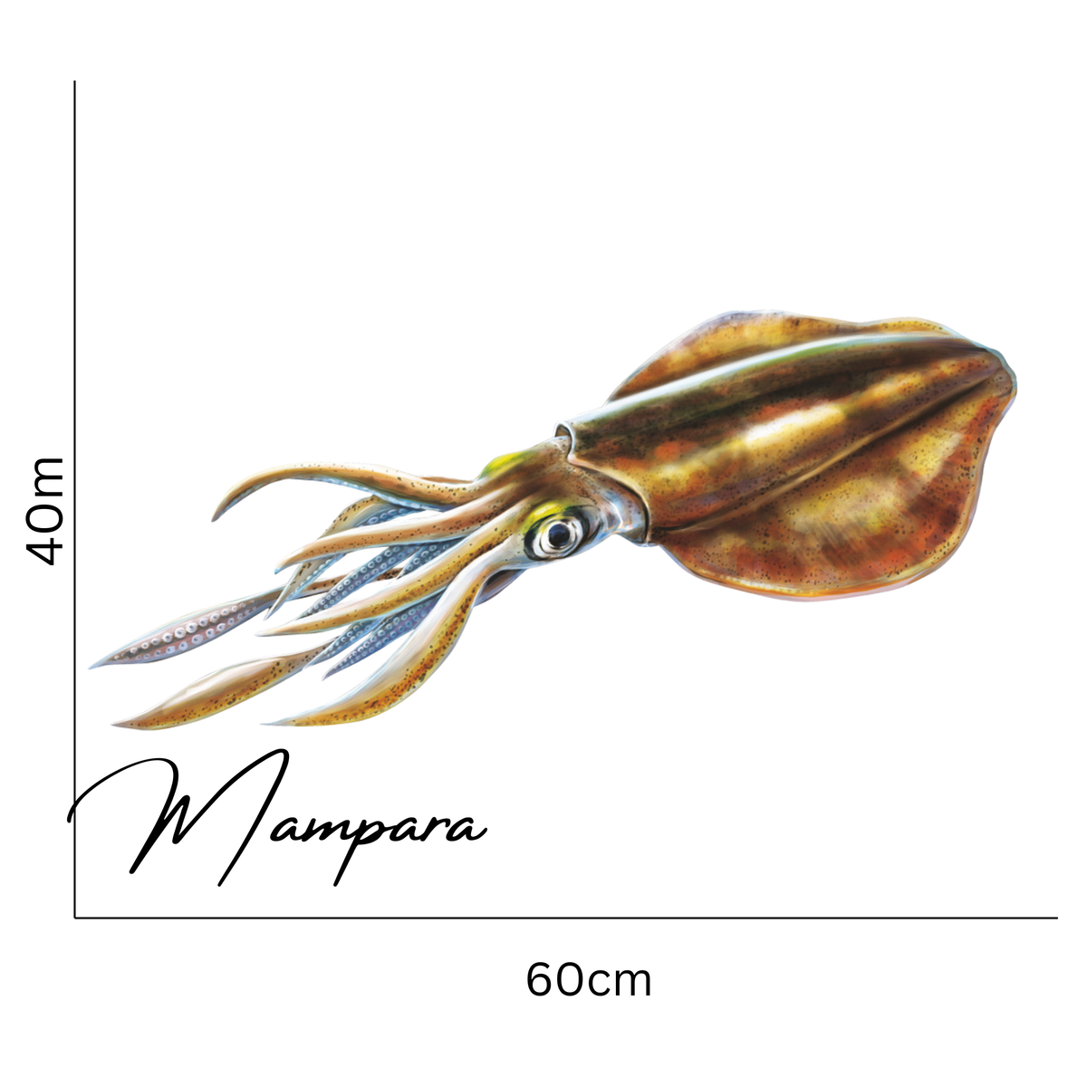 Southern Calamari Print mount 60cm