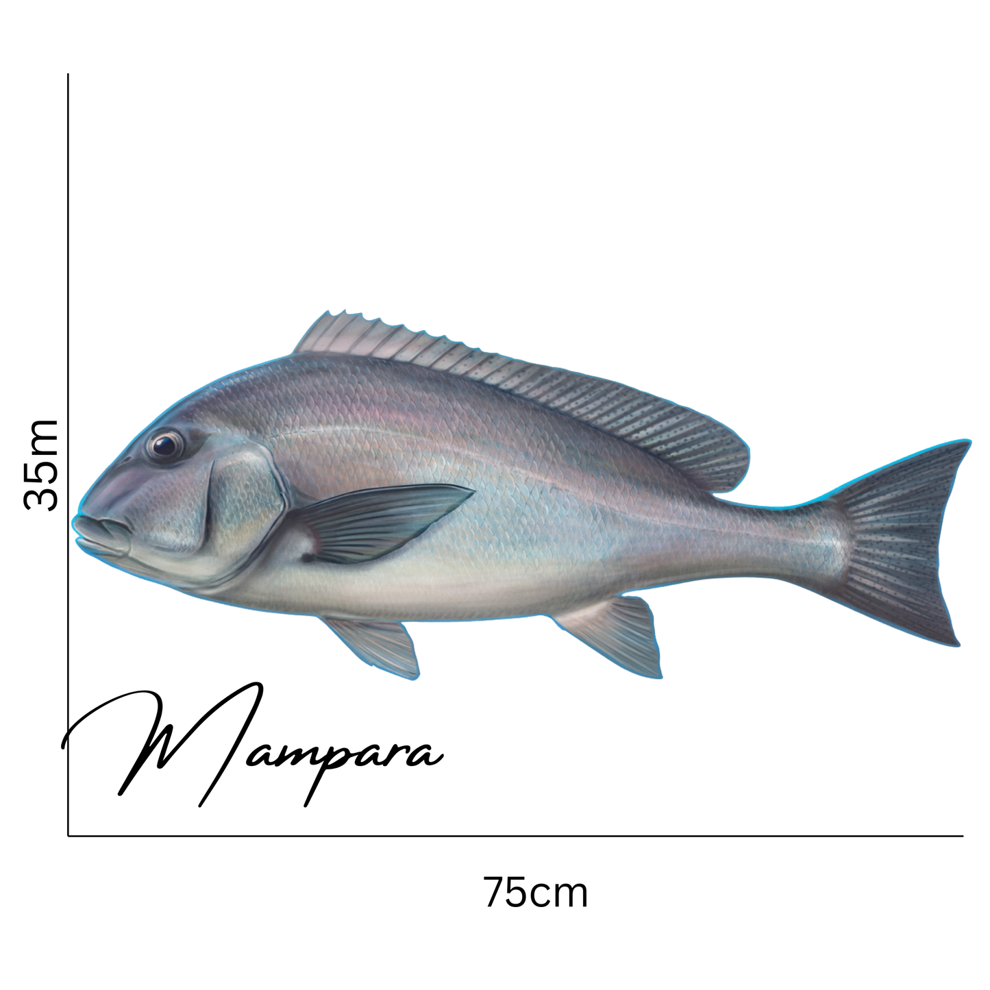 Sweet Lip AKA MIL print mount 75cm