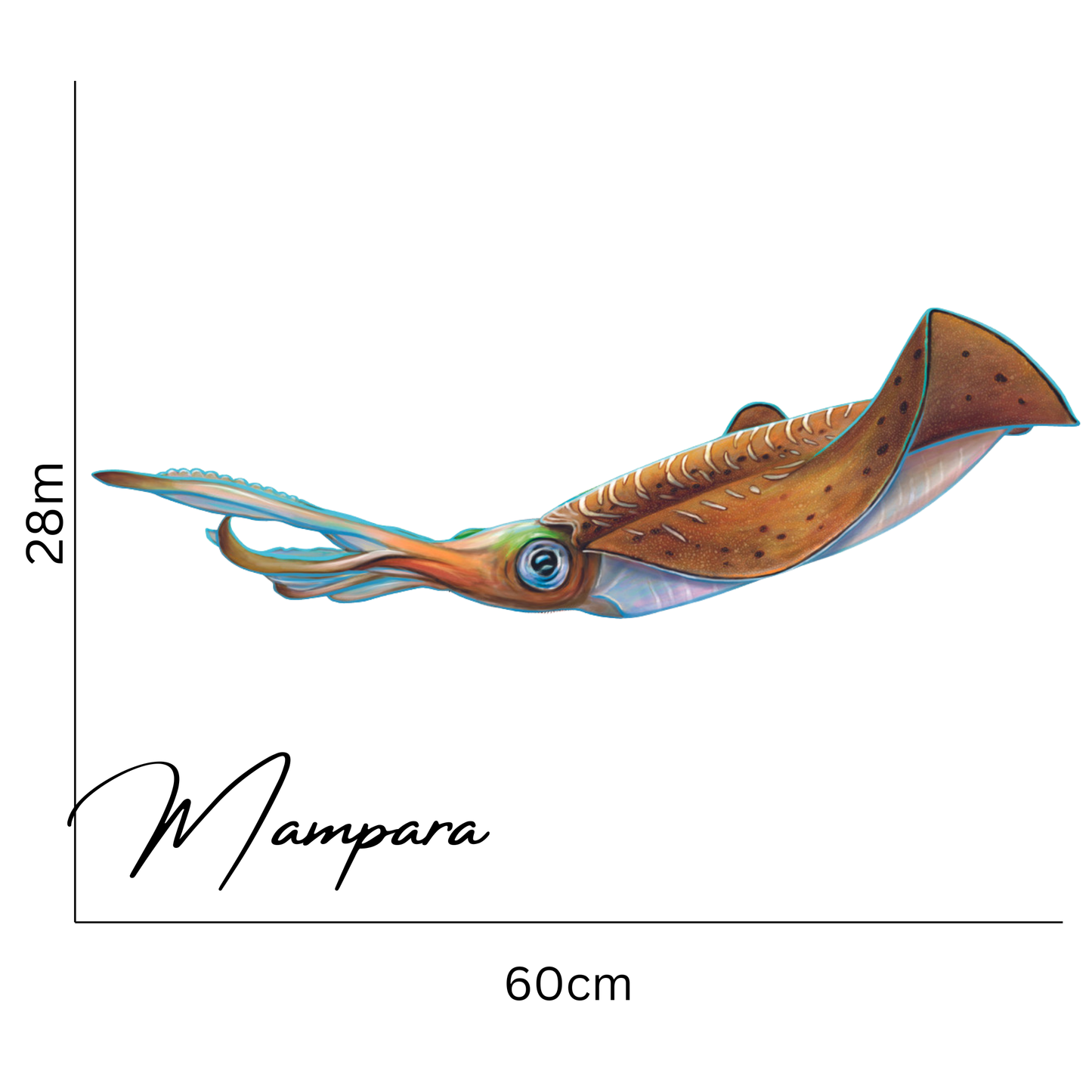 Tiger Squid Print mount 60cm