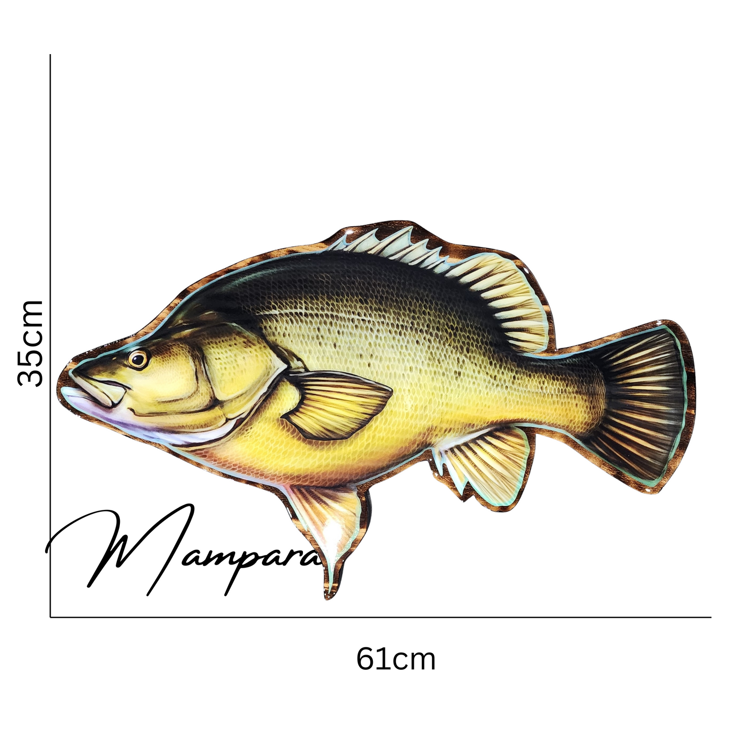 Yellow Belly 60cm Print mount