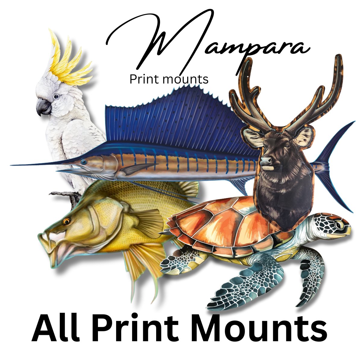Fish Print Mounts