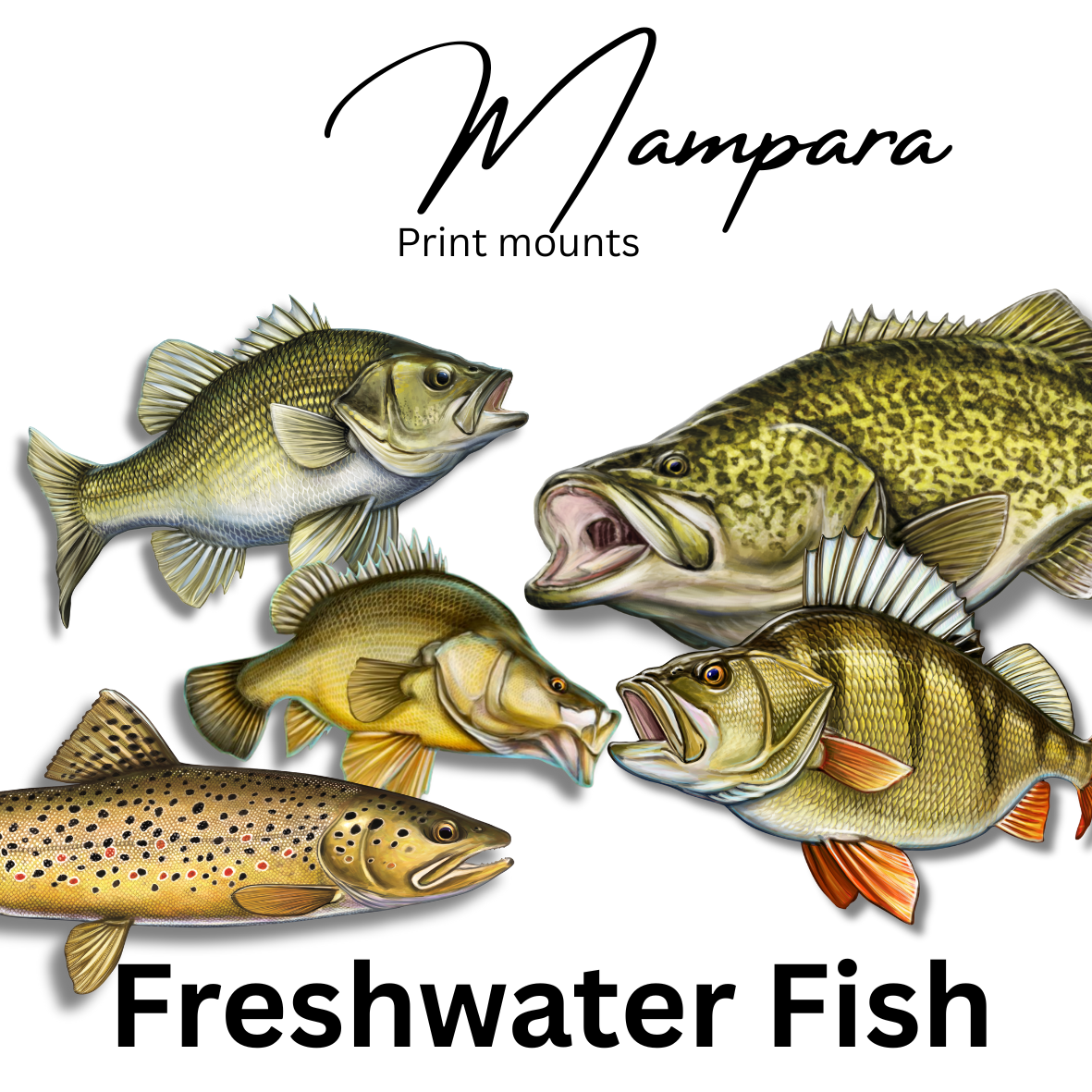 Fresh Water Fish