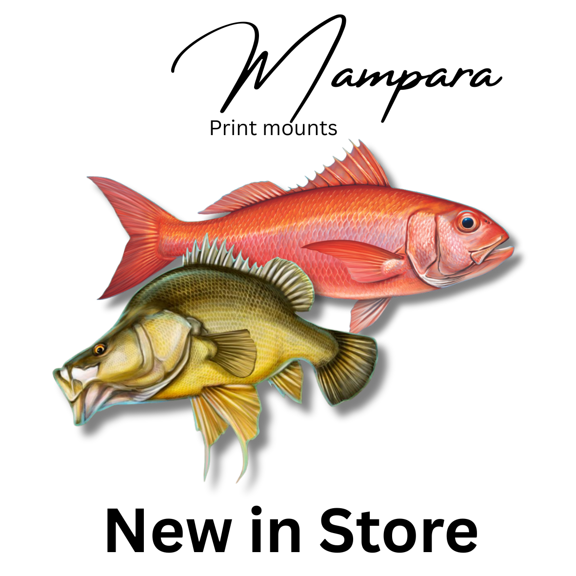New to the Store