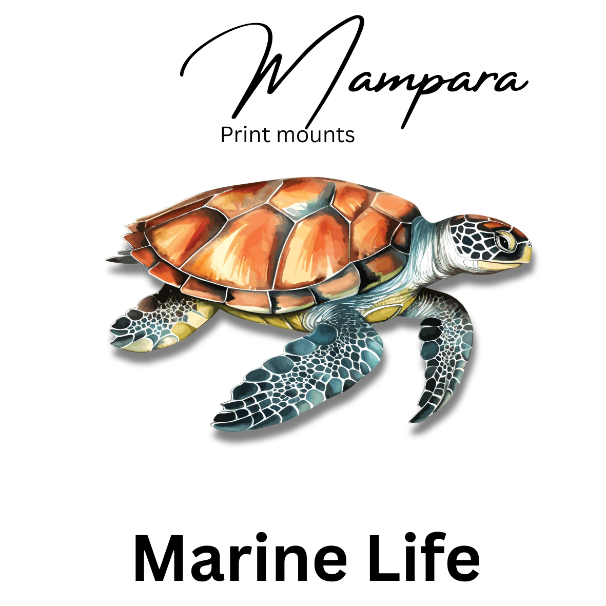 Marine Life