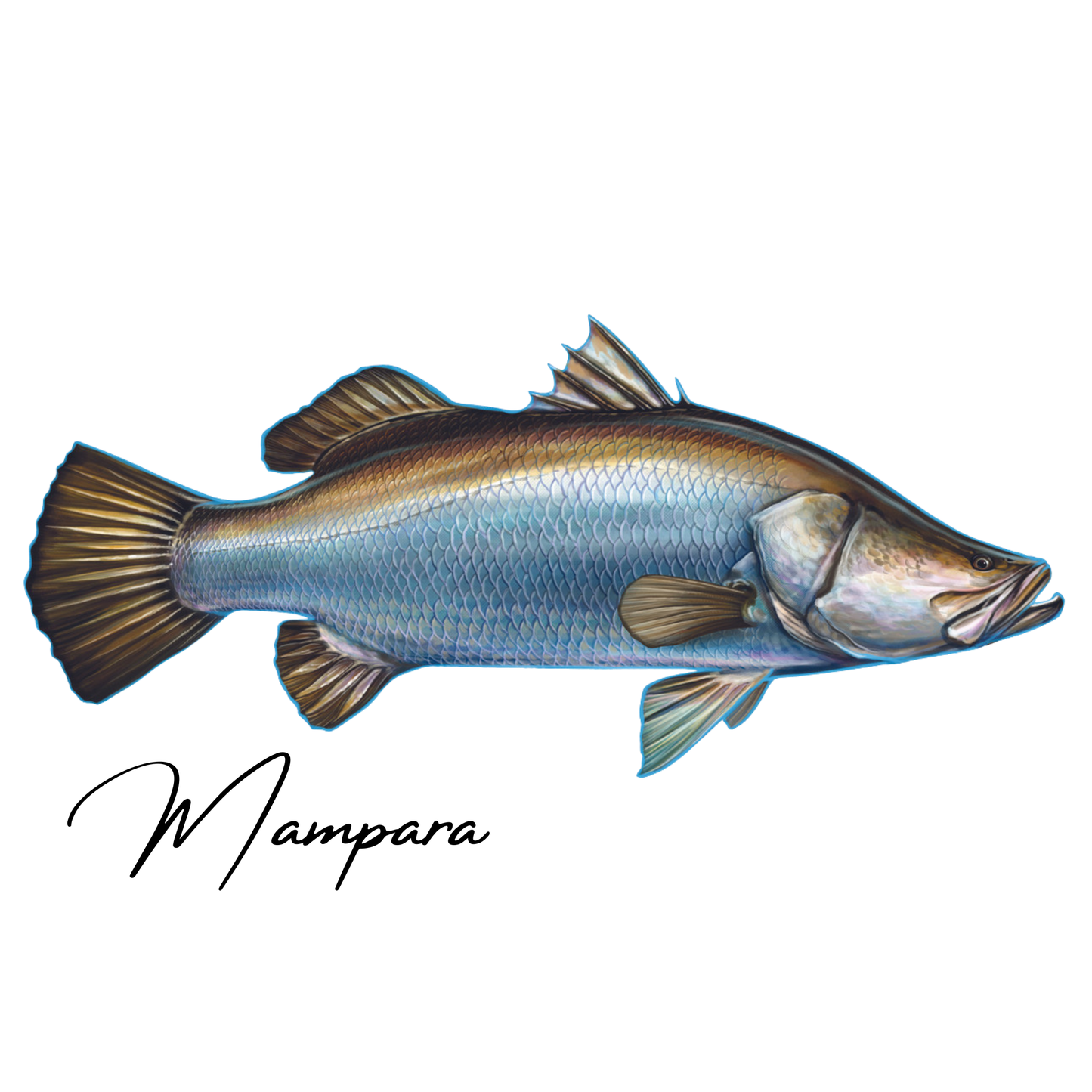 Barramundi Realistic design Print mount 100cm in length