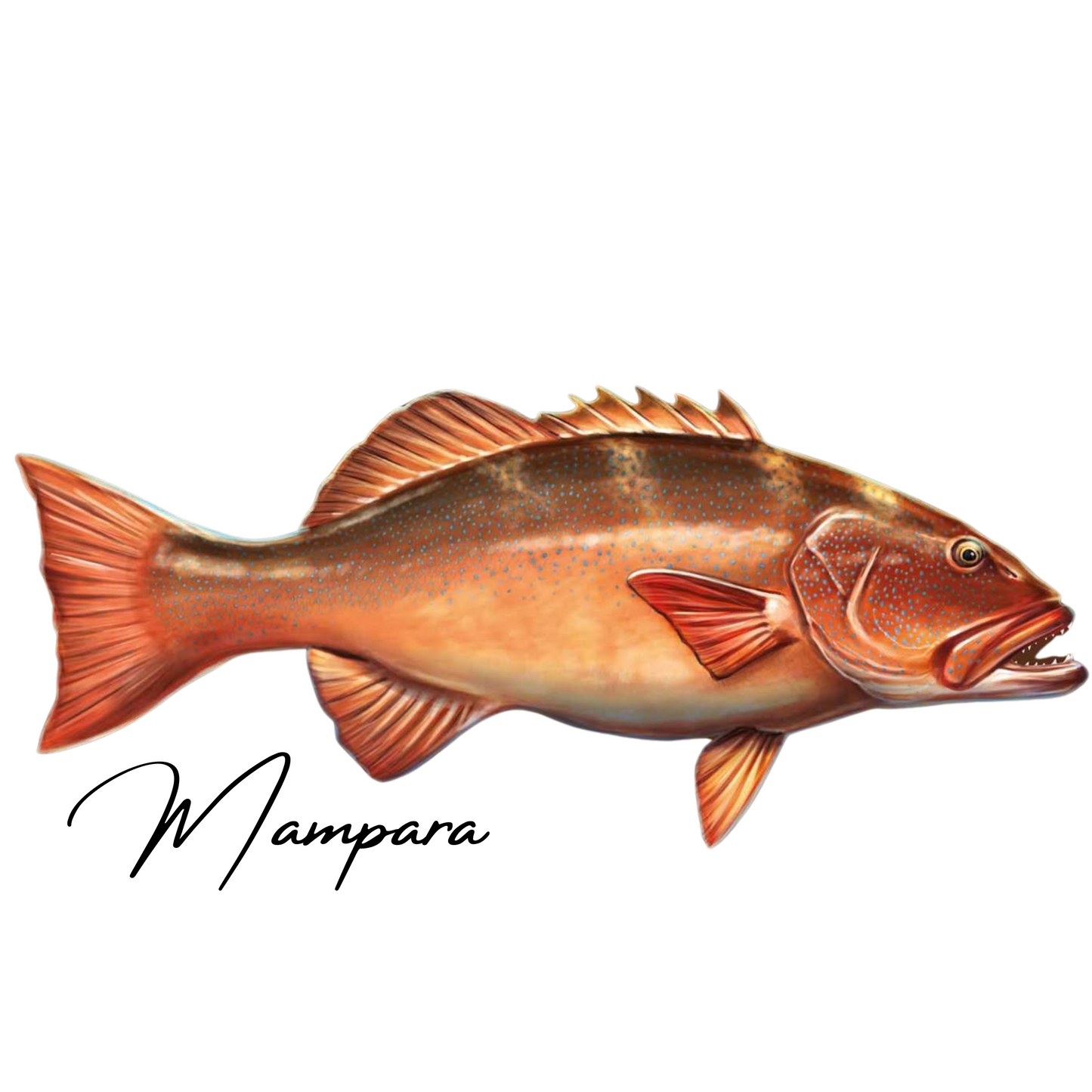 DINO TROUT Coral Trout Print mount 100cm
