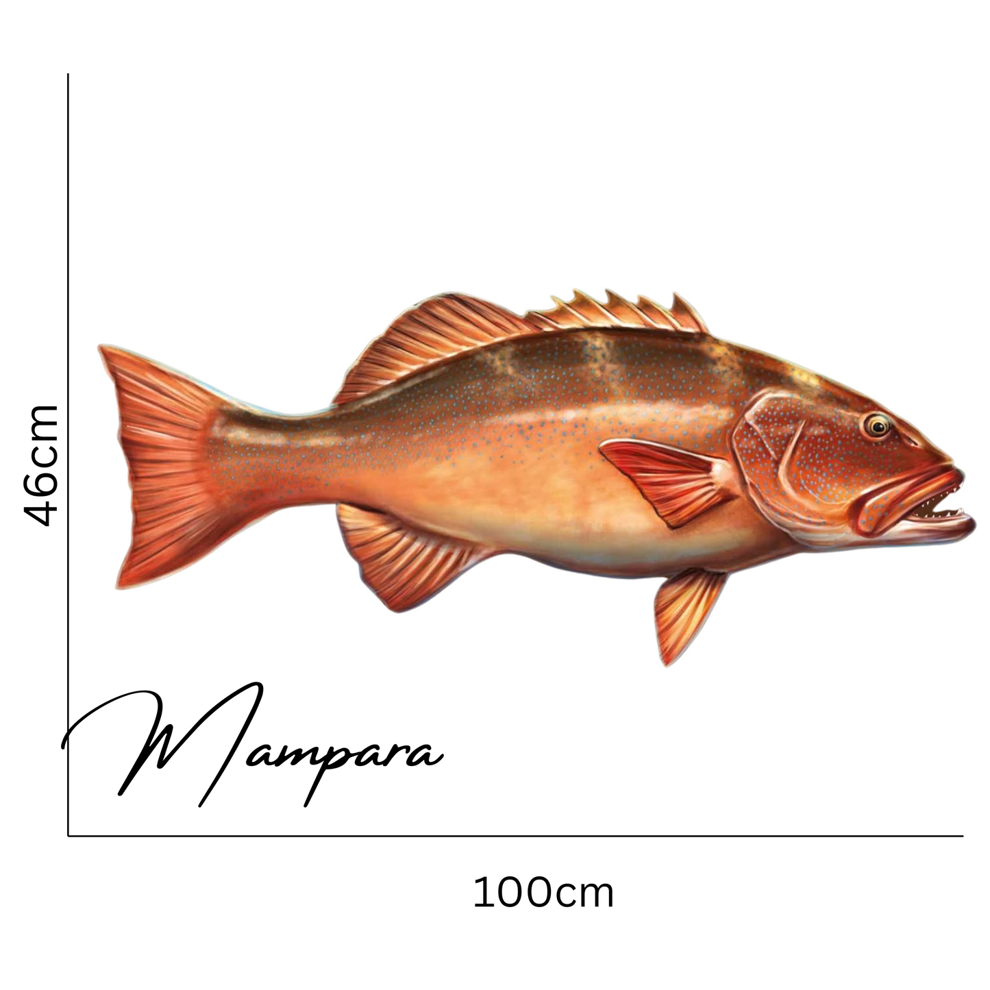DINO TROUT Coral Trout Print mount 100cm