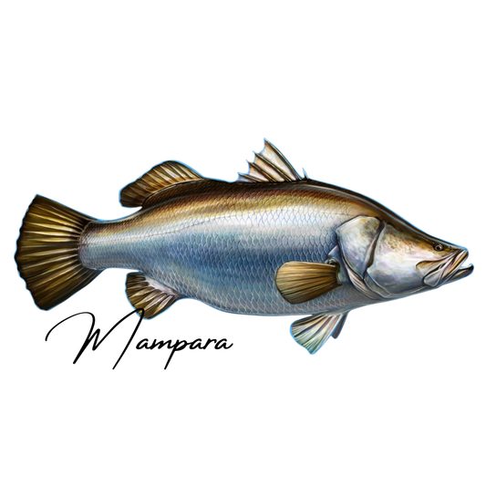 Barramundi XXL Realistic design Print mount 100cm in length