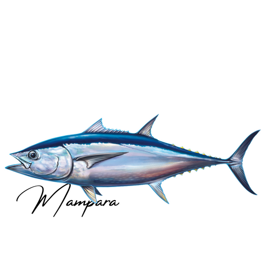 Longtail Tuna Print mount 100cm