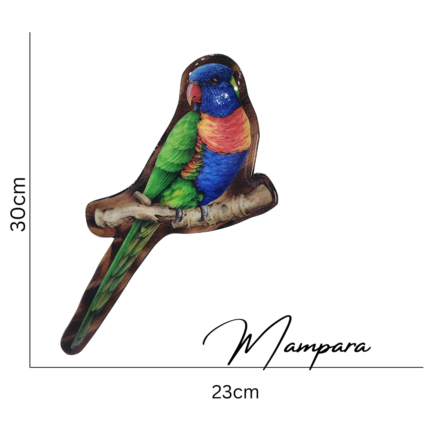 Rainbow Lorikeet print mount