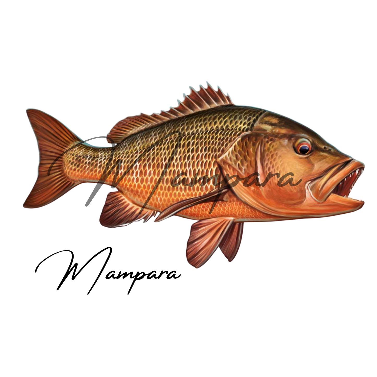 Mangrove Jack mount Large (Right Facing)
