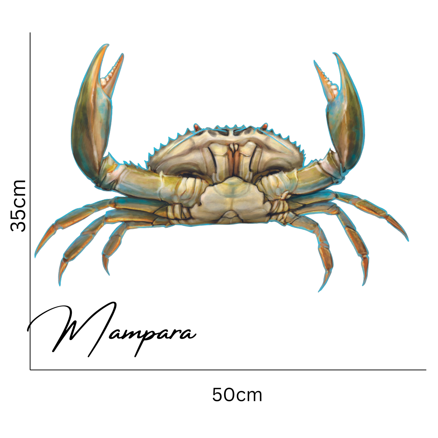 Mud Crab Print mount