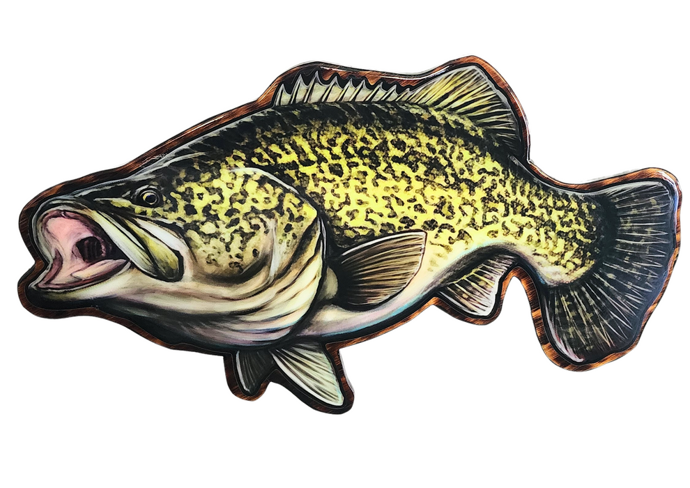 Murray Cod Print mount 100cm in length – Mampara .....Australian Print ...