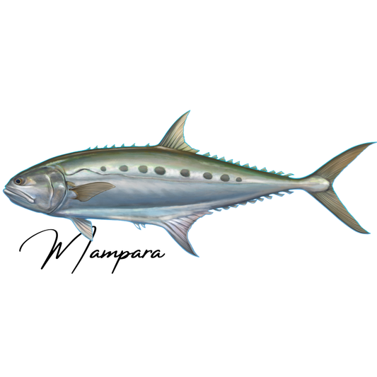 Queenfish Print Mount 100cm