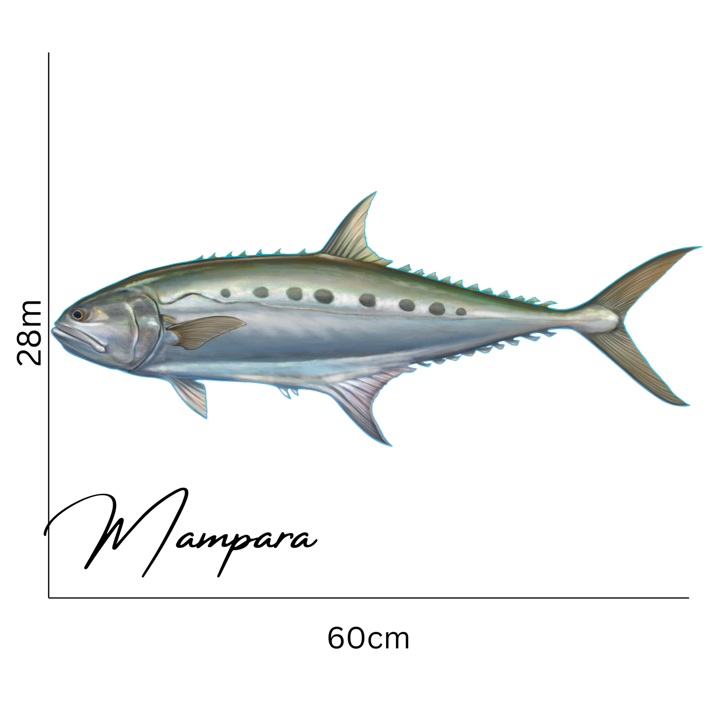 Queenfish Print Mount 100cm