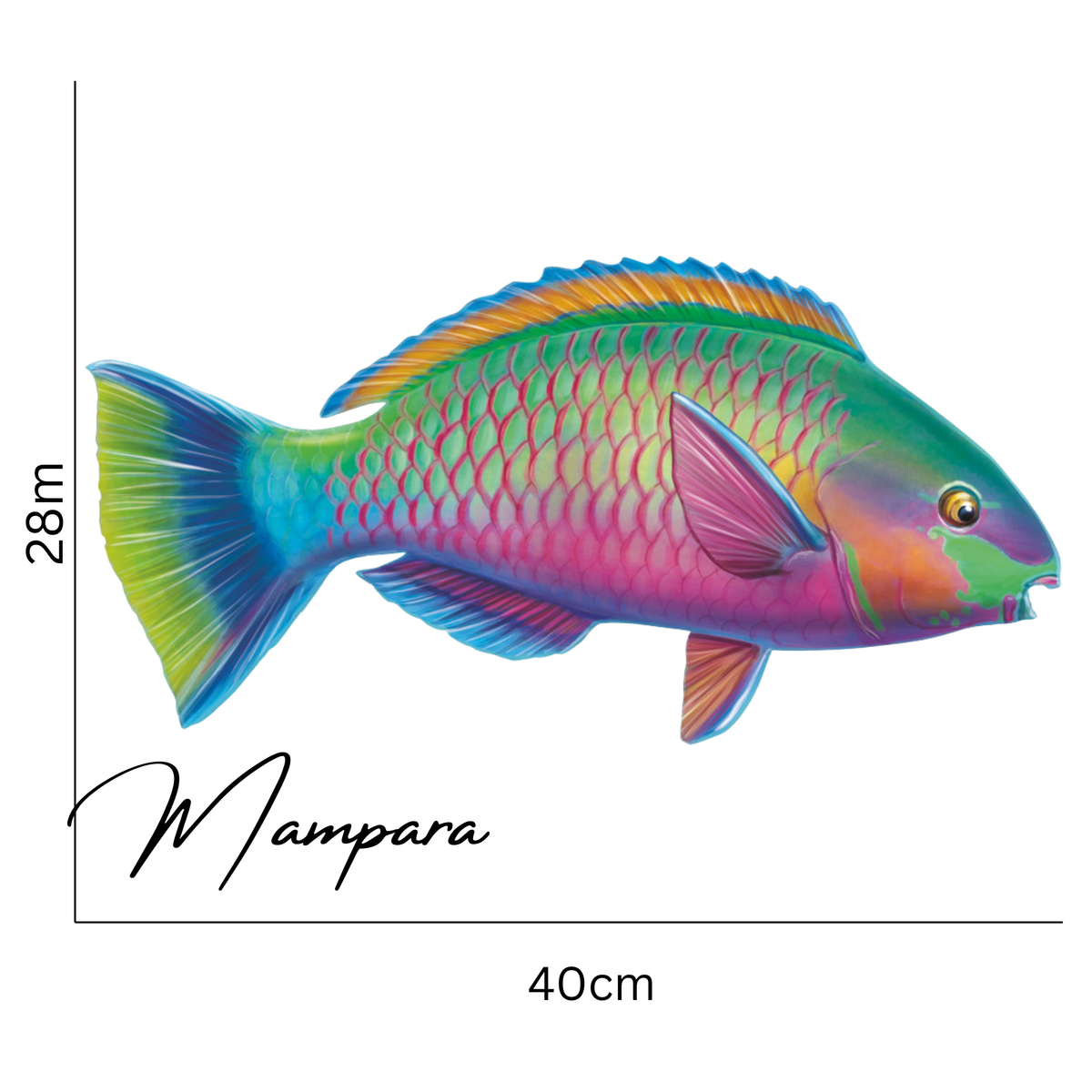 Quoyi Parrot Fish Print mount 40cm