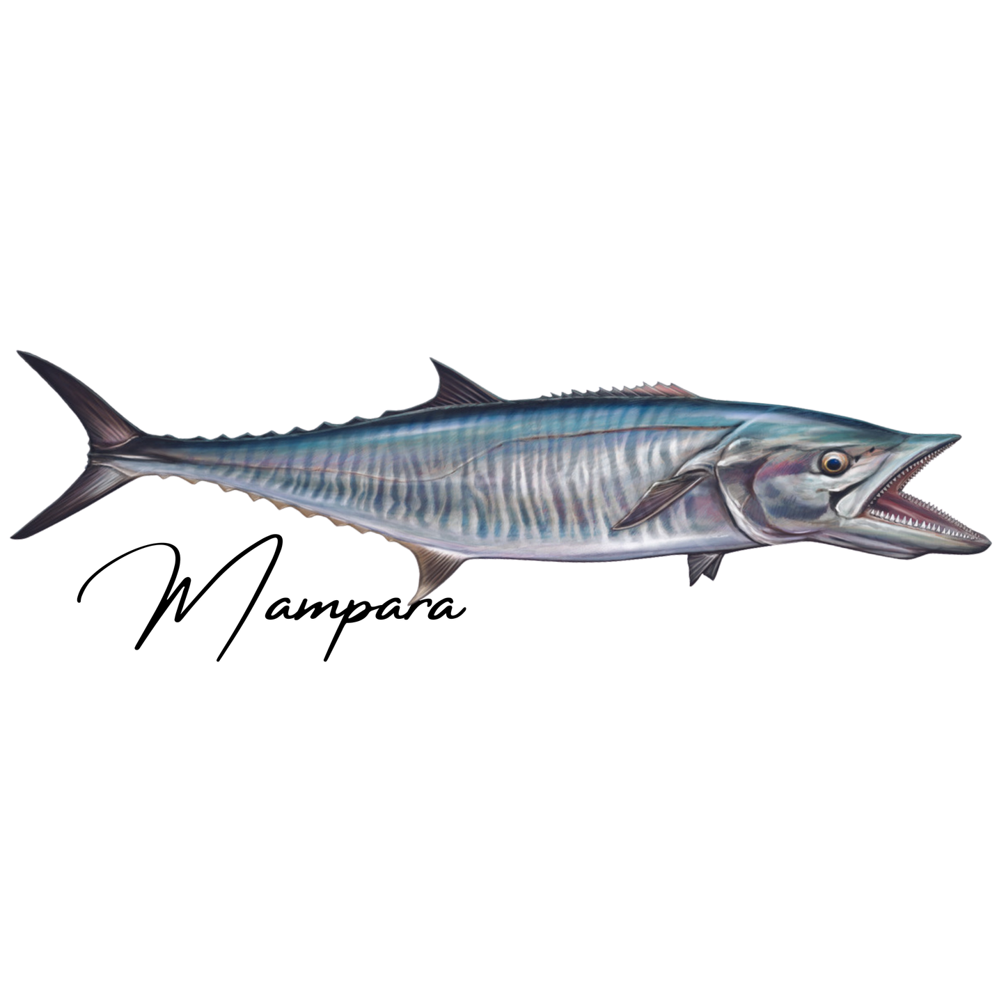 Spanish Mackerel Open Mouth ( Silver) Print mount 100cm