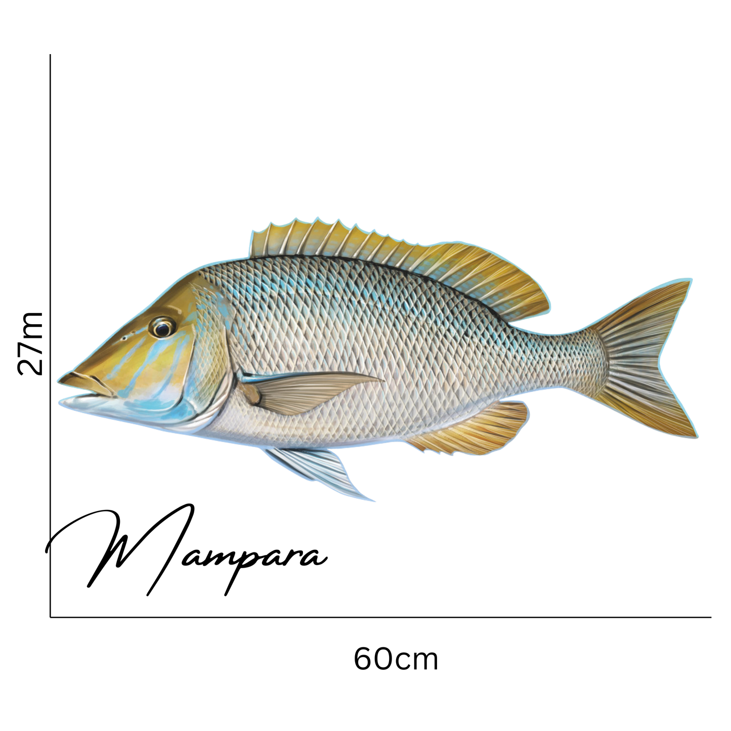 Spangled Emperor 60cm Print Mount