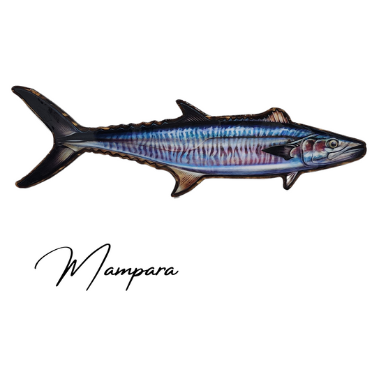 Spanish Mackerel closed Mouth Print mount 100cm in length