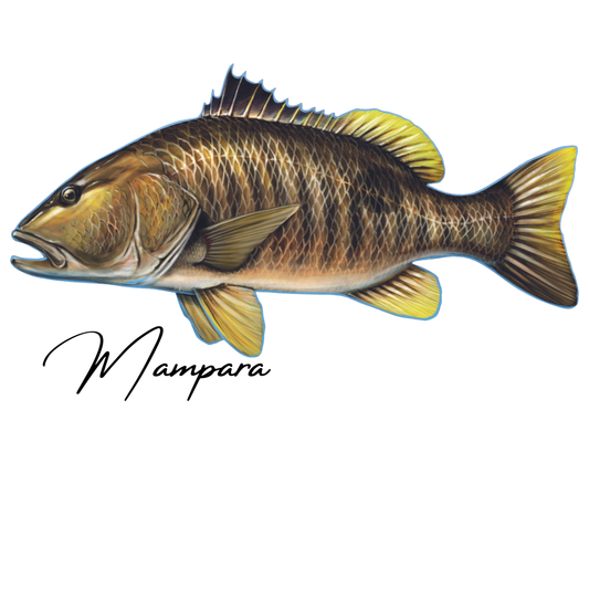 Spot Tail Bass print mount 80cm