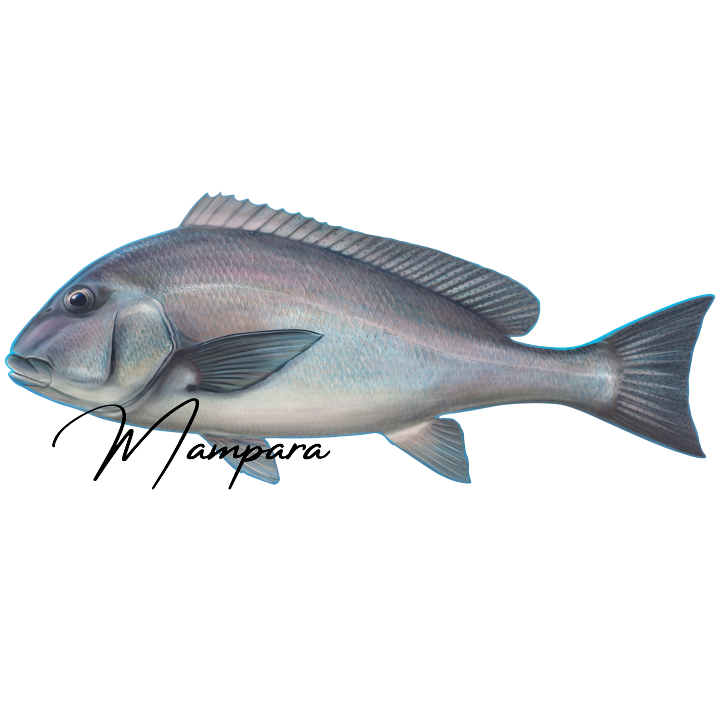 Sweet Lip AKA MIL print mount 75cm