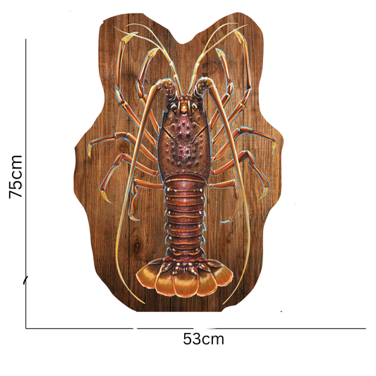 Western Rock Lobster Print mount