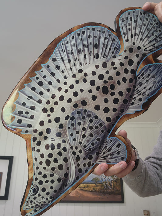 Barramundi Cod 60cm Print Mount