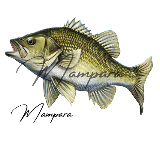 Aussie Bass 50cm  Print mount left facing