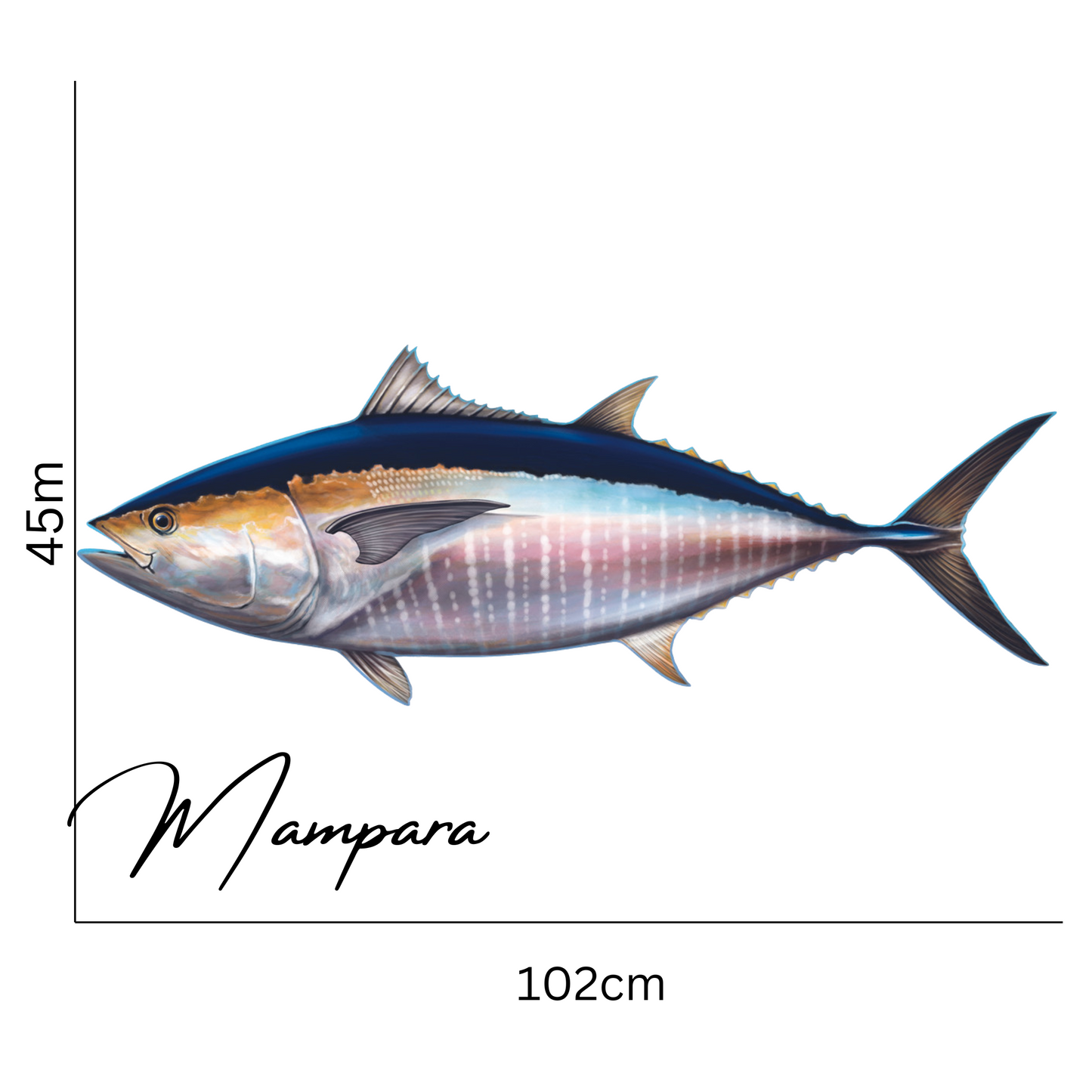 Southern Bluefin Tuna Print mount 100cm