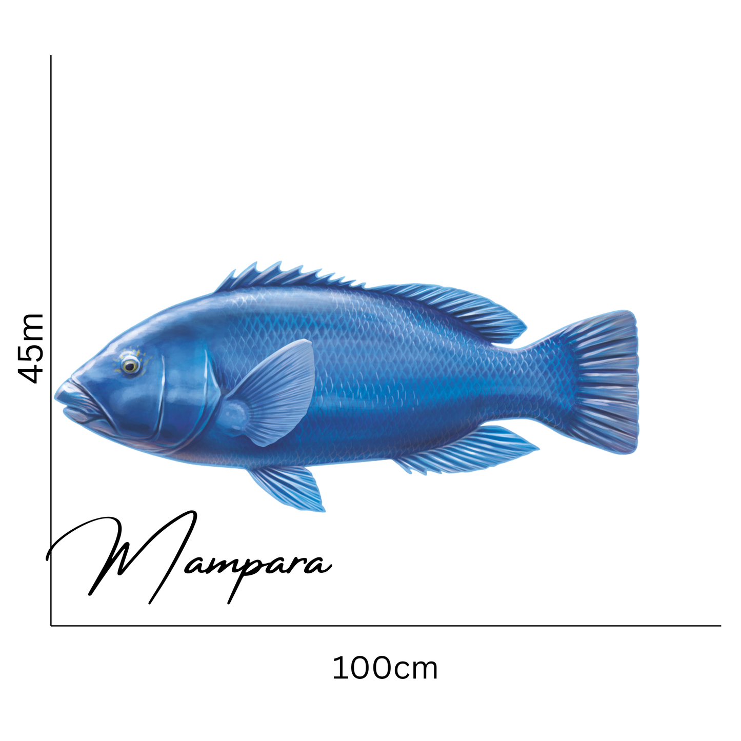 Blue Grouper Print mount 100cm in length