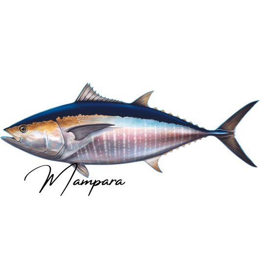 Southern Bluefin Tuna Print mount 100cm