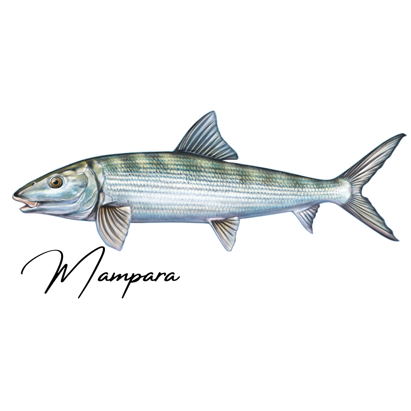 Bonefish Print Mount 70cm
