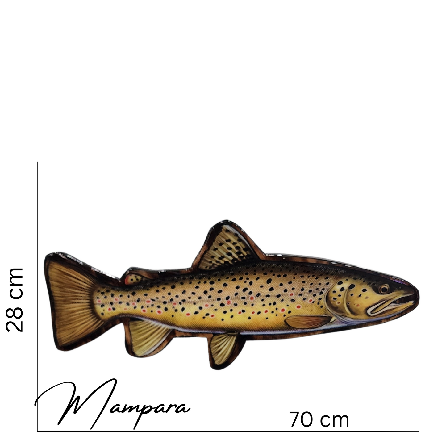 Brown Trout Print mount Large