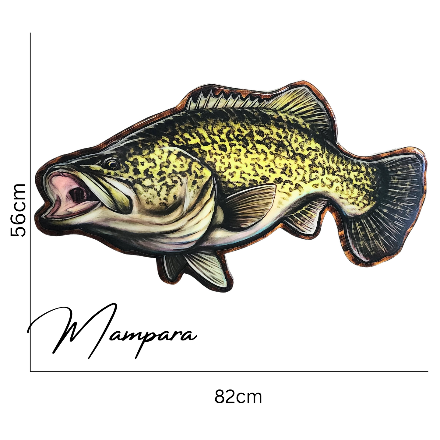 Murray Cod mount 80cm in length