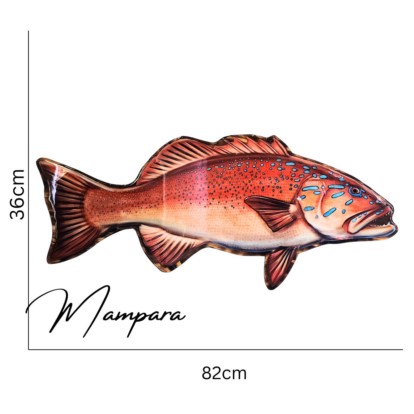 Coral Trout Print mount 80cm in length