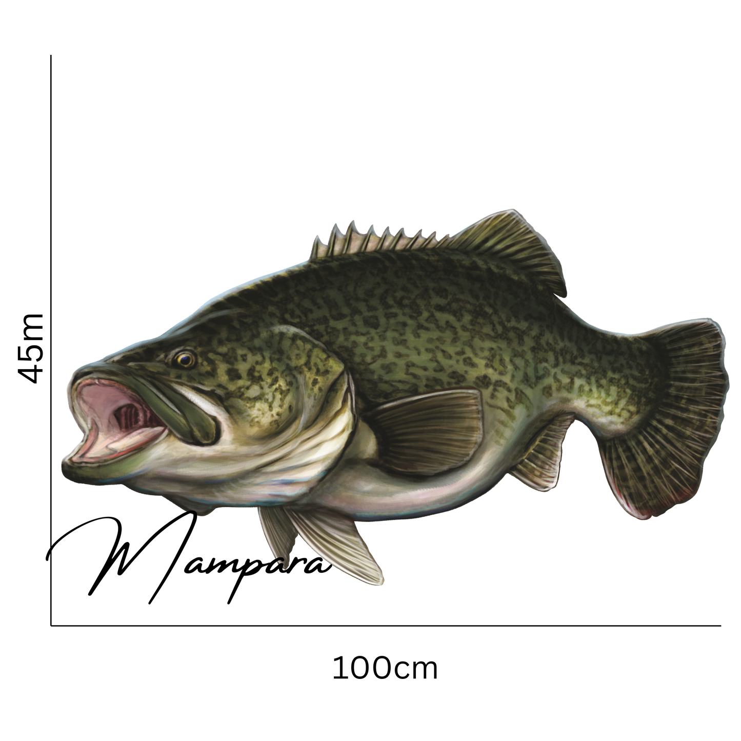 Murray Cod (Dark Cod) Print mount 100cm